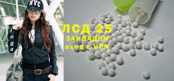 прущие грибы Балахна