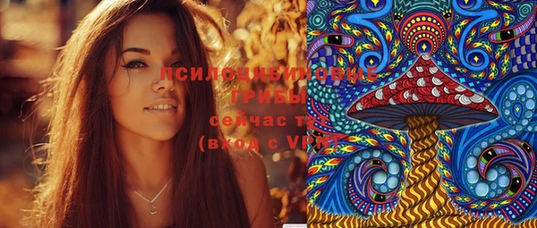 прущие грибы Балахна