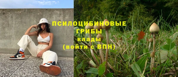 прущие грибы Балахна