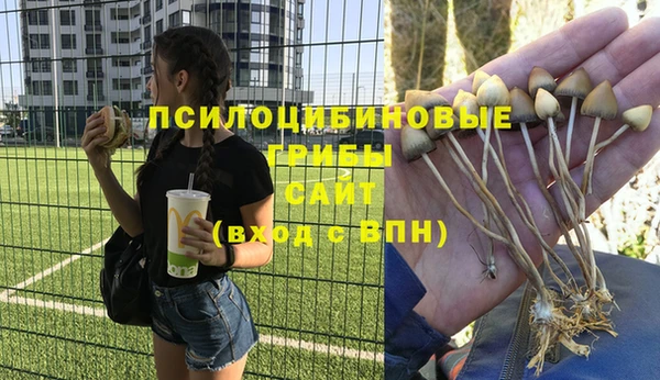 дурь Баксан