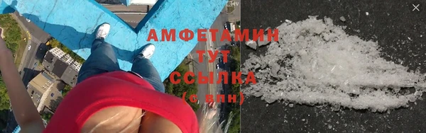 прущие грибы Балахна