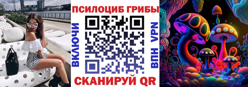 Галлюциногенные грибы Psilocybe  Сибай 